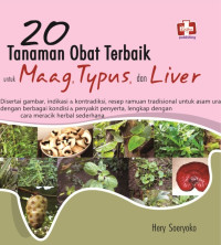 20 tanaman obat terbaik untuk maag, typus, dan liver