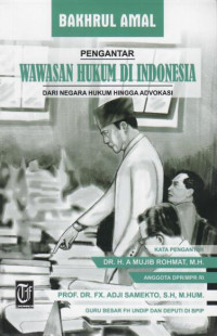 Pengantar wawasan hukum di indonesia dari negara hukum hingga advokasi