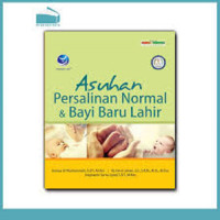 Image of Asuhan Persalinan Normal dan Bayi Baru Lahir