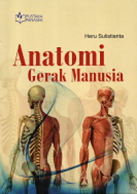 Anatomi Gerak Manusia