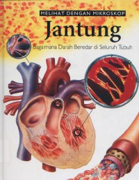 Jantung 1 (Melihat Dengan Mikroskop)